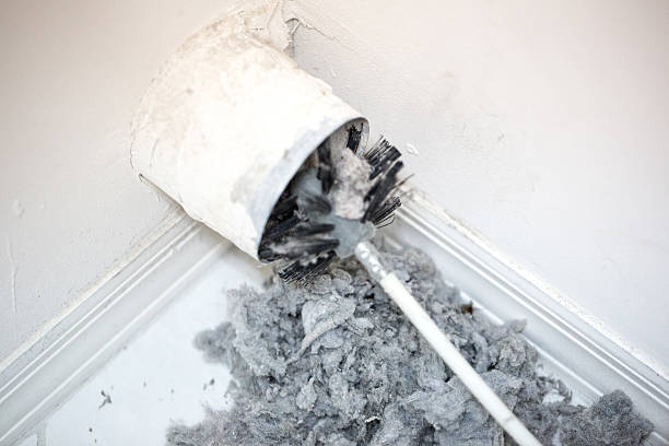Best Dryer Vent Cleaning Services  in Hermantown, MN